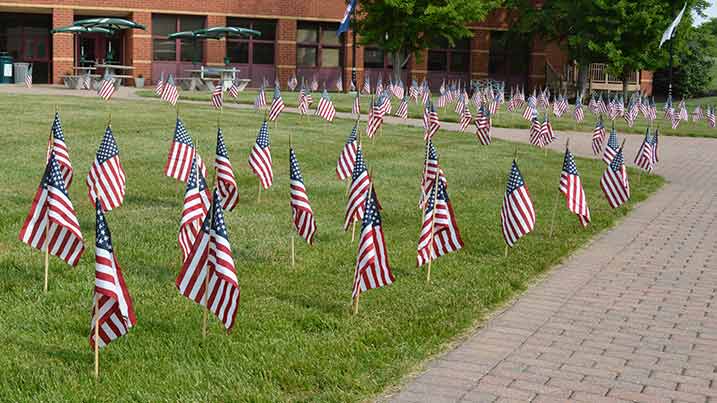 Small American flags stuck into grass.