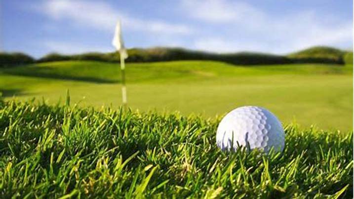 A golf ball in grass