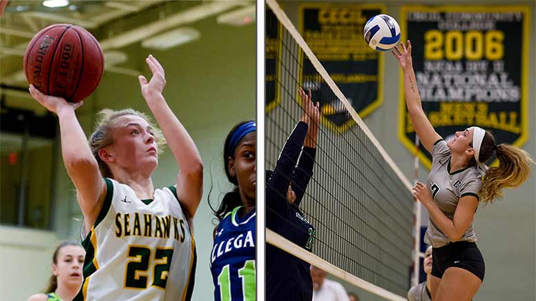 Photo of female basketball and volleyball players