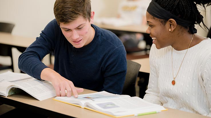 Two students studying together.