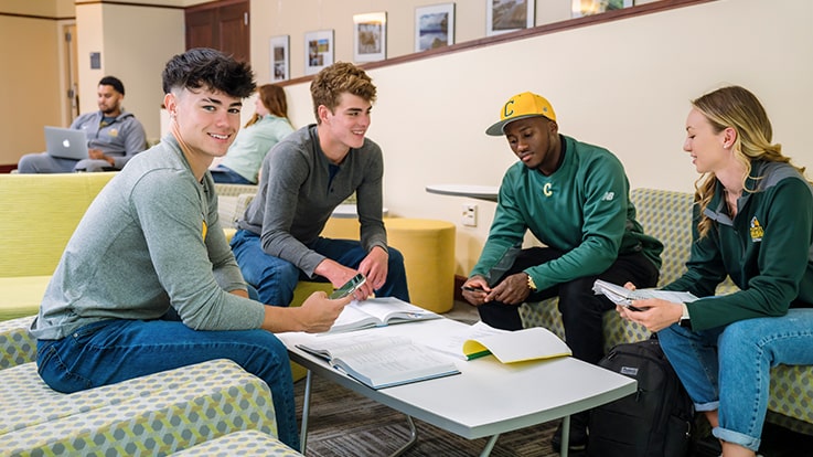 Students studying in a lounge area.