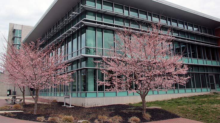 EMB building on Cecil College's North East campus.