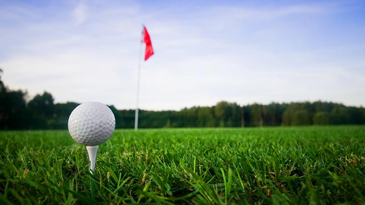 A golfball in grass.